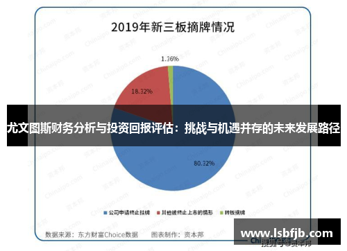 尤文图斯财务分析与投资回报评估：挑战与机遇并存的未来发展路径