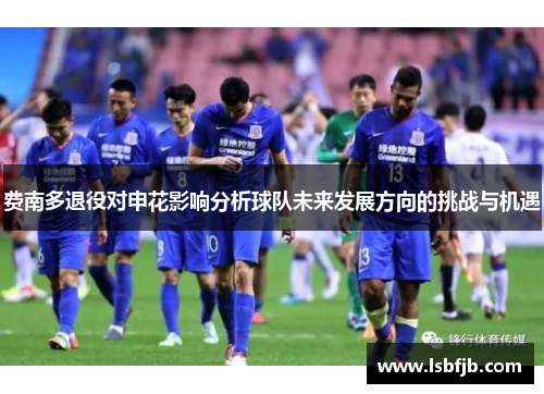 费南多退役对申花影响分析球队未来发展方向的挑战与机遇